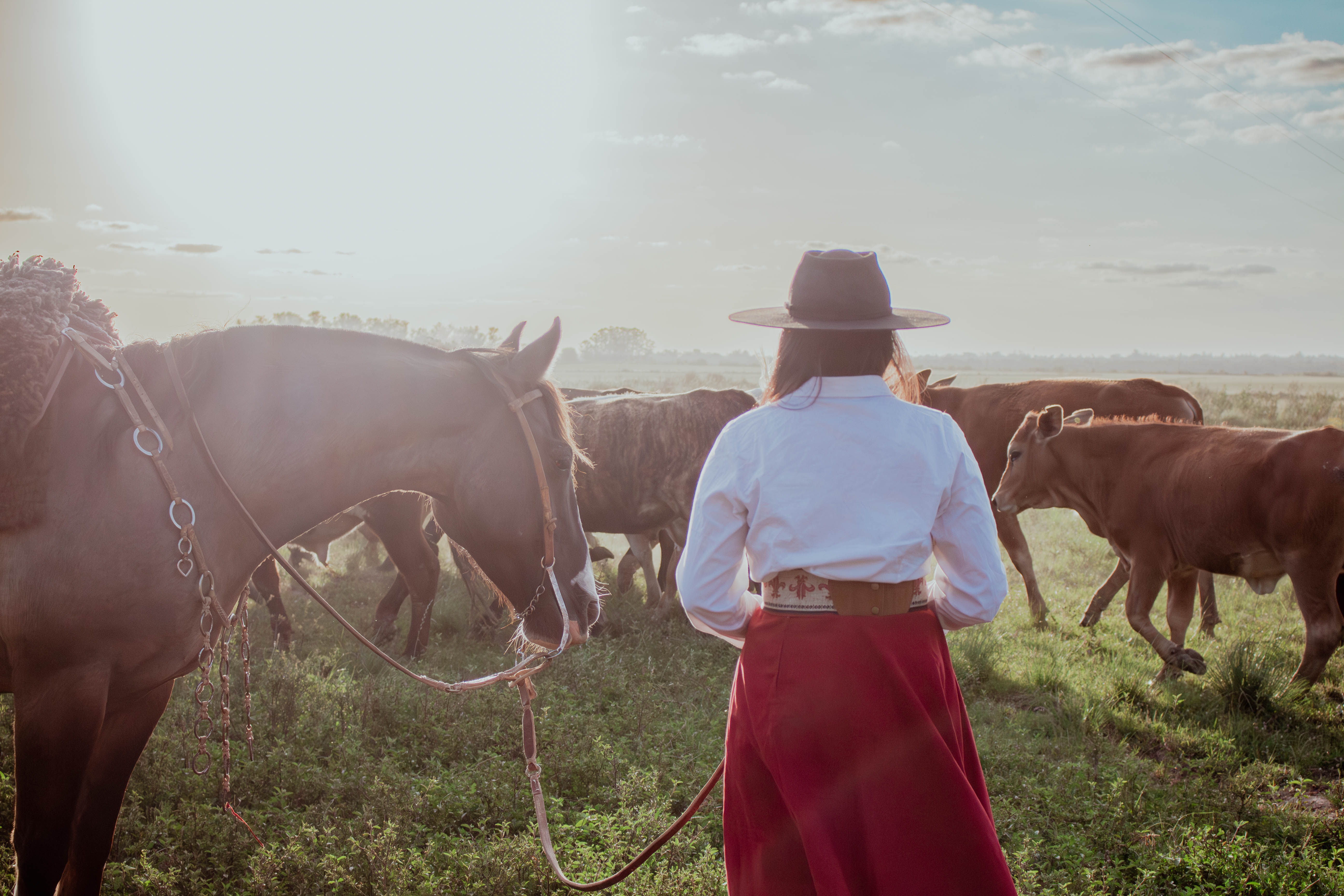 Mulher de costas com vestimenta tradicional gaúcha segurando as rédeas de um cavalo em um campo com gado ao pôr do sol